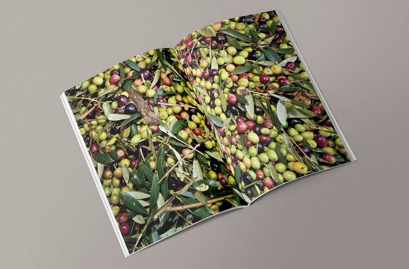 Maquetación y rediseño revista gastronómica TAMIZ 1