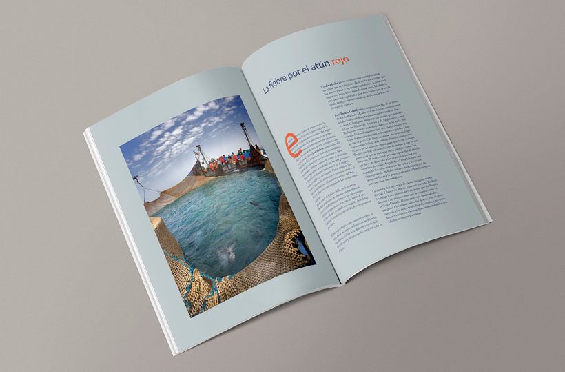 Maquetación y rediseño revista gastronómica TAMIZ 2