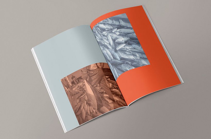 Maquetación y rediseño revista gastronómica TAMIZ 3