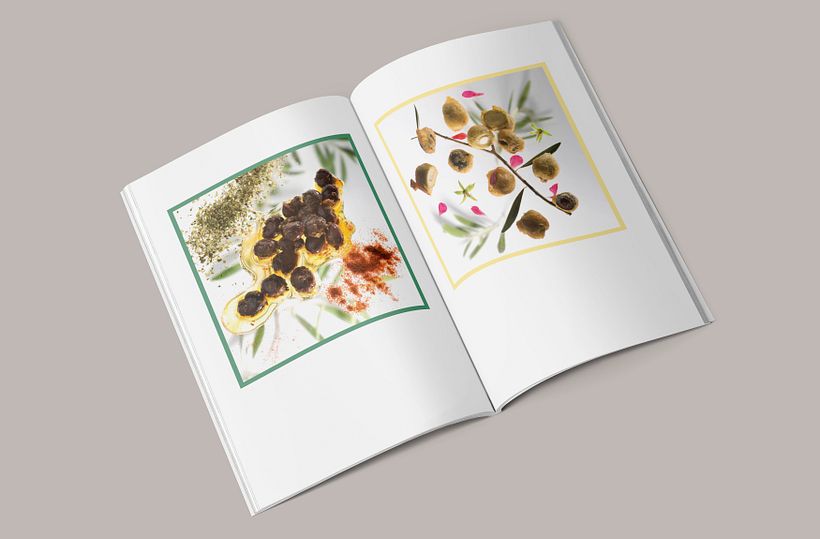 Maquetación y rediseño revista gastronómica TAMIZ 4