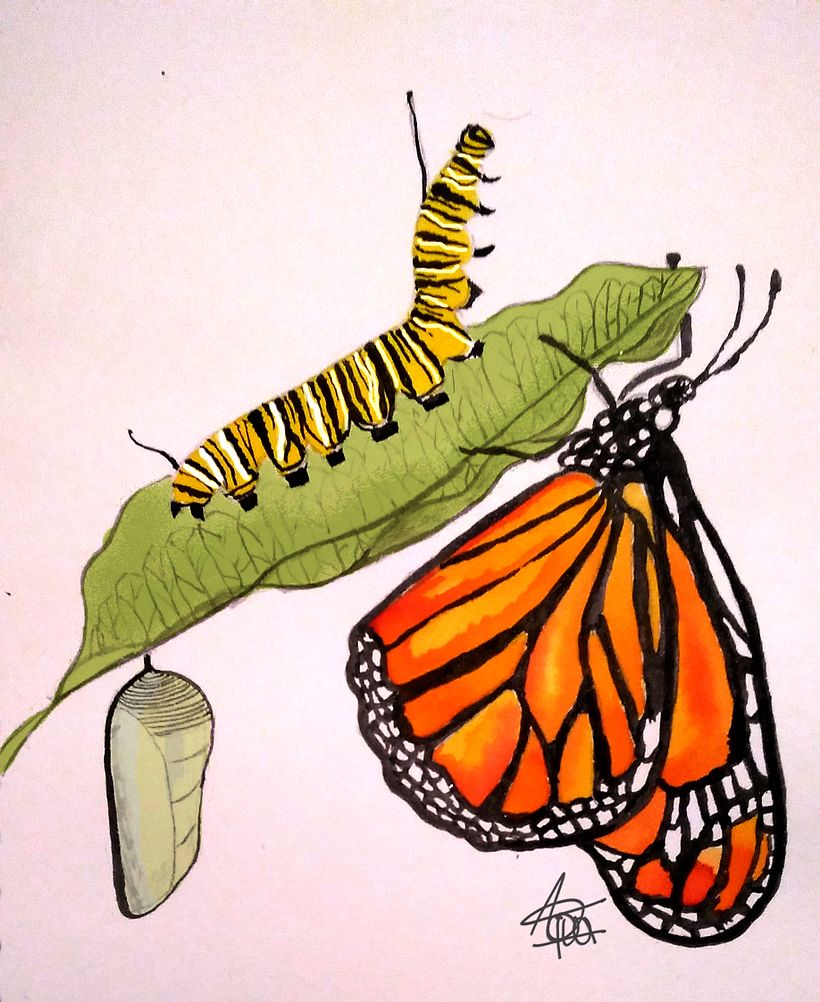 DIA 31. MADURO  #INKTOBER #INKTOBERDOMESTIKA