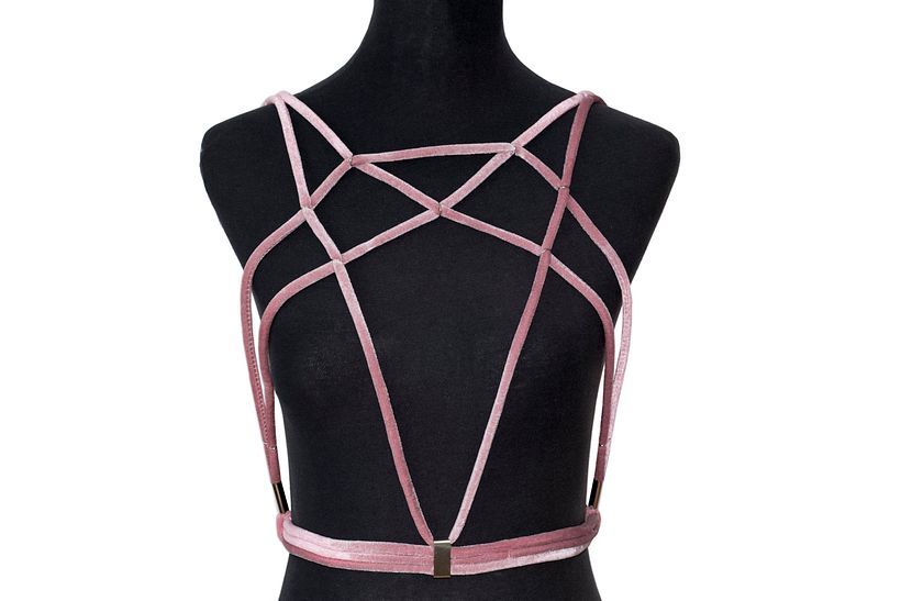 Harness with alpaca details