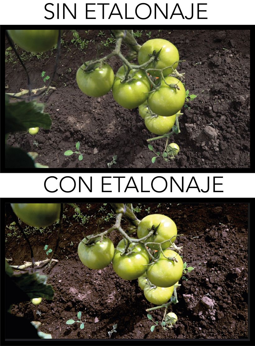 Mi Proyecto del curso: Etalonaje digital con DaVinci Resolve 3