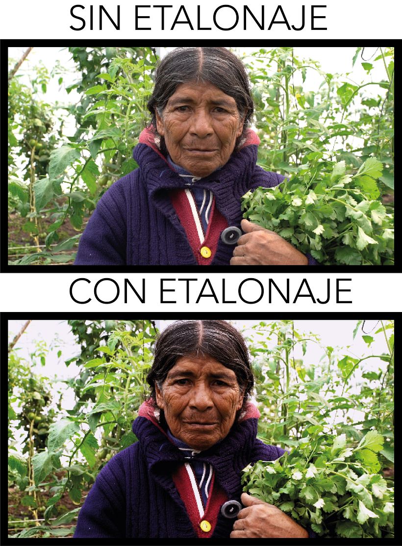 Mi Proyecto del curso: Etalonaje digital con DaVinci Resolve 4