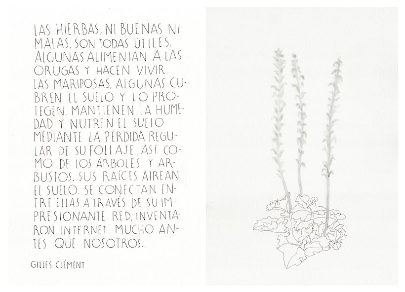 Apología de la mala hierba 6