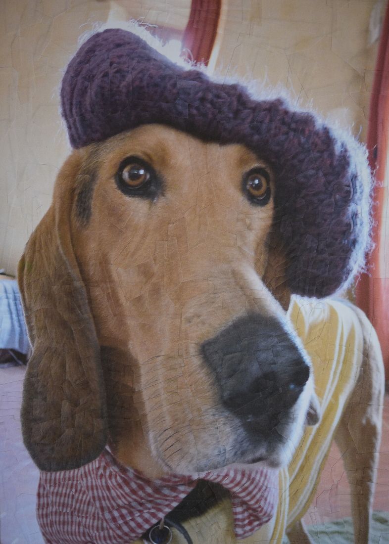 Mr Peanut, 12,5 x 9 pulgadas, foto Yvonne Mcclement