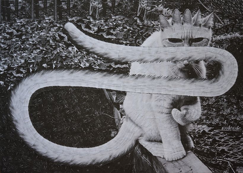 El visitante, 12,5 x 9 pulgadas, foto Annie Chia