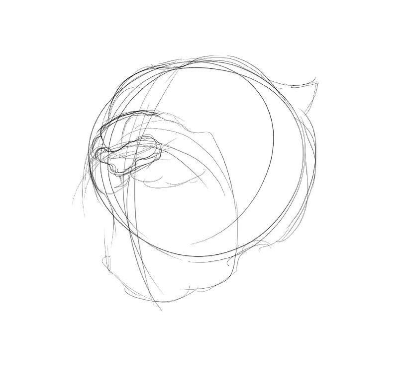 Boceto a partir de formas básicas.