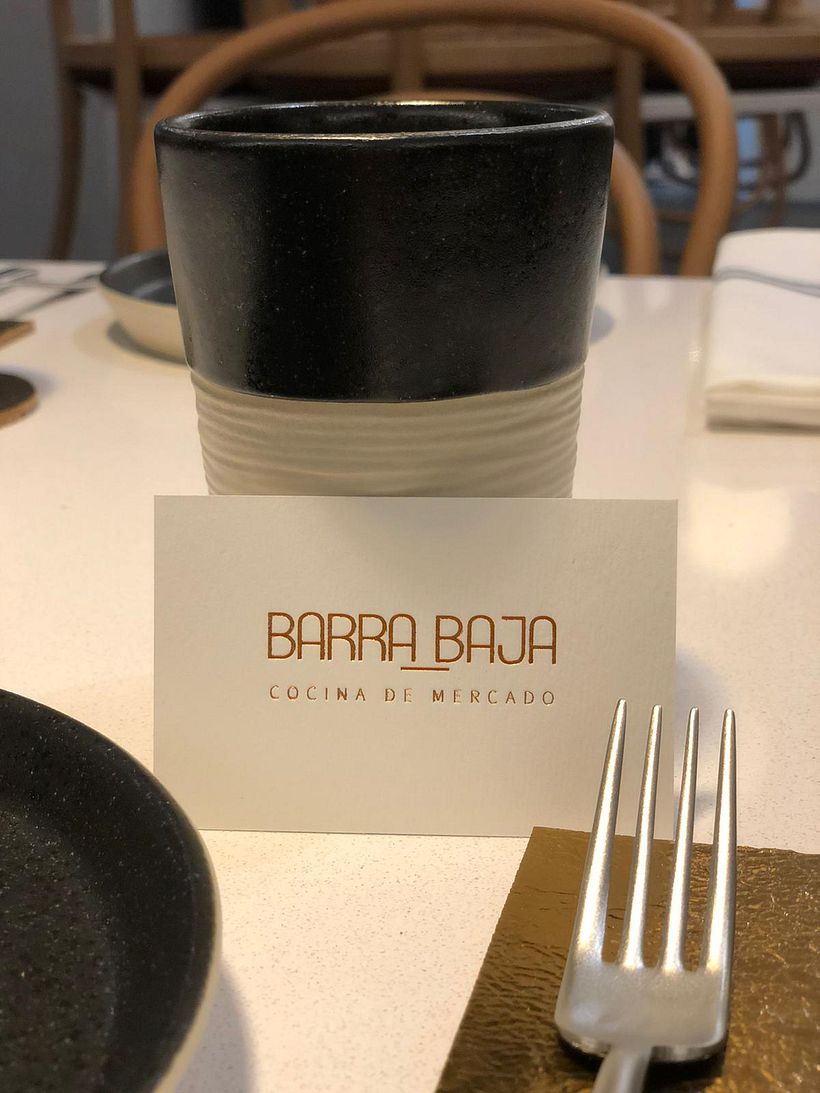 Mi Proyecto del curso: Identidad corporativa BARRA_BAJA 10