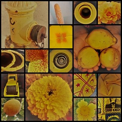mosaico amarillo  1
