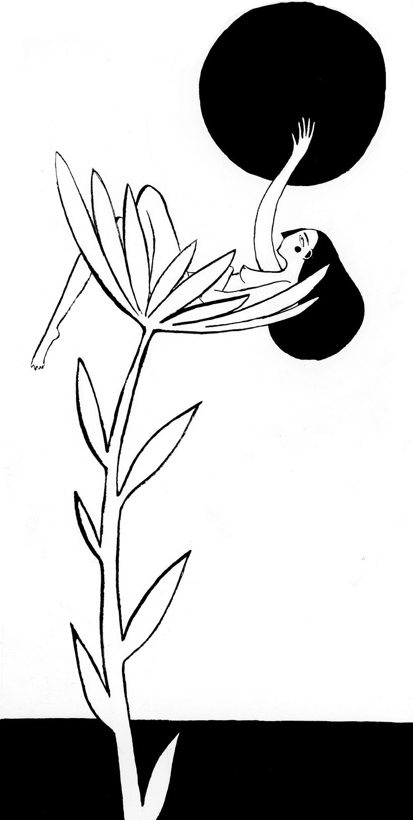 growth -1
