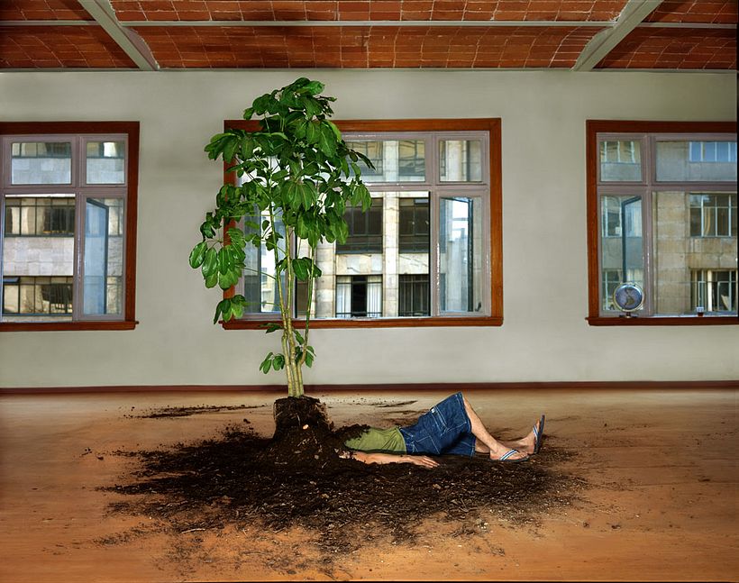 Fernando Montiel Klint, de la serie 'Plática'