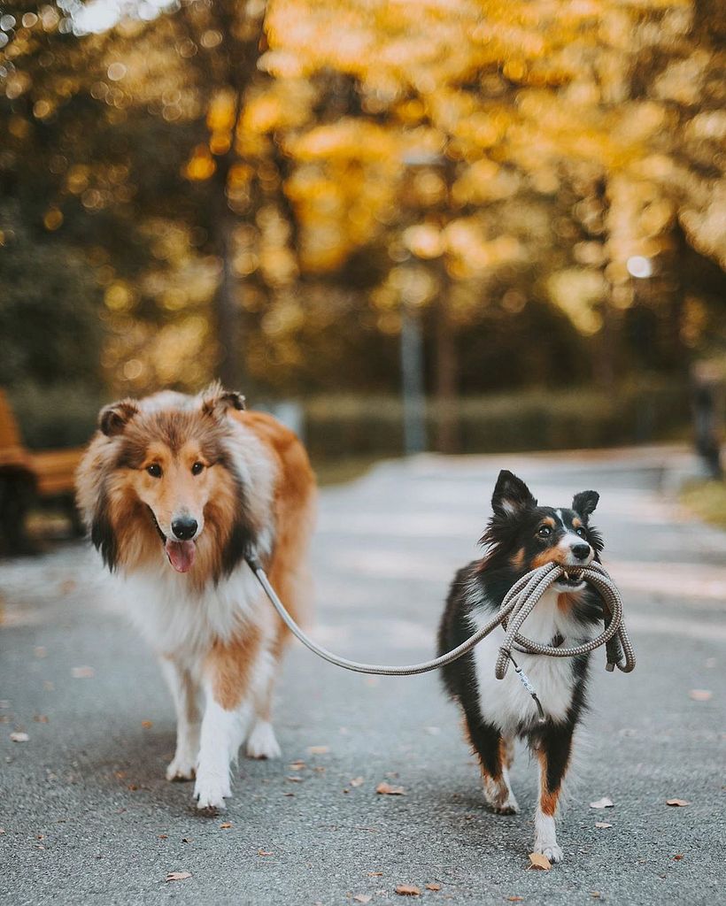 Amy & Hugo