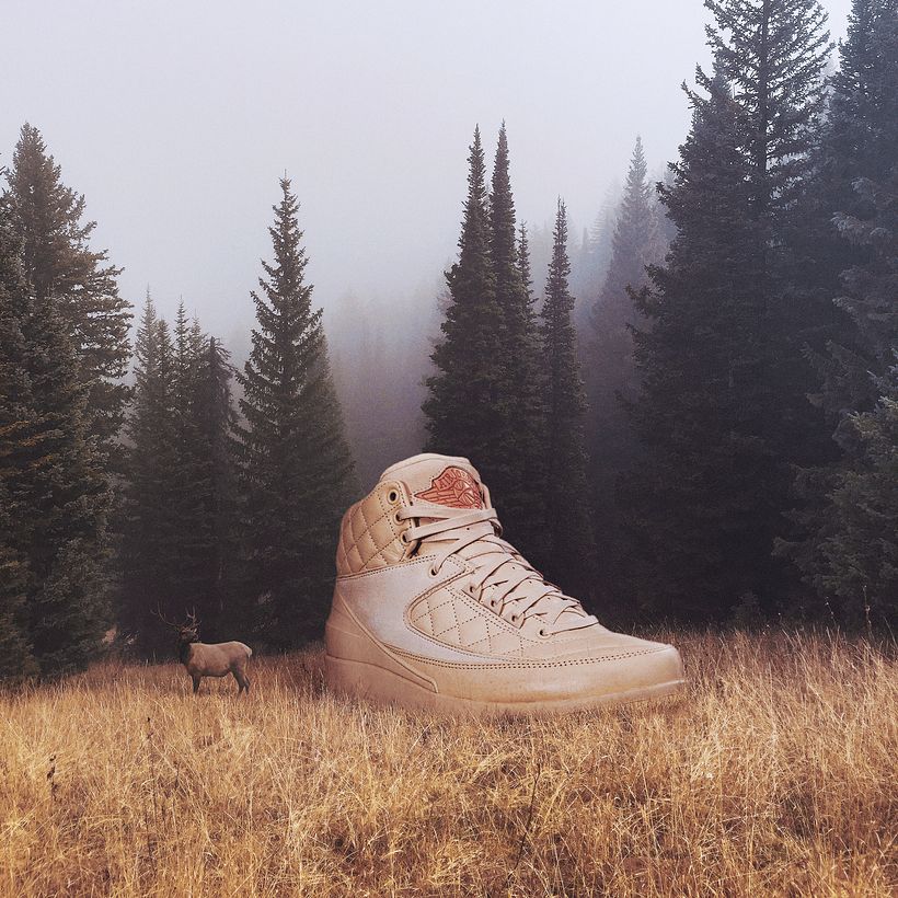 Air Jordan 2