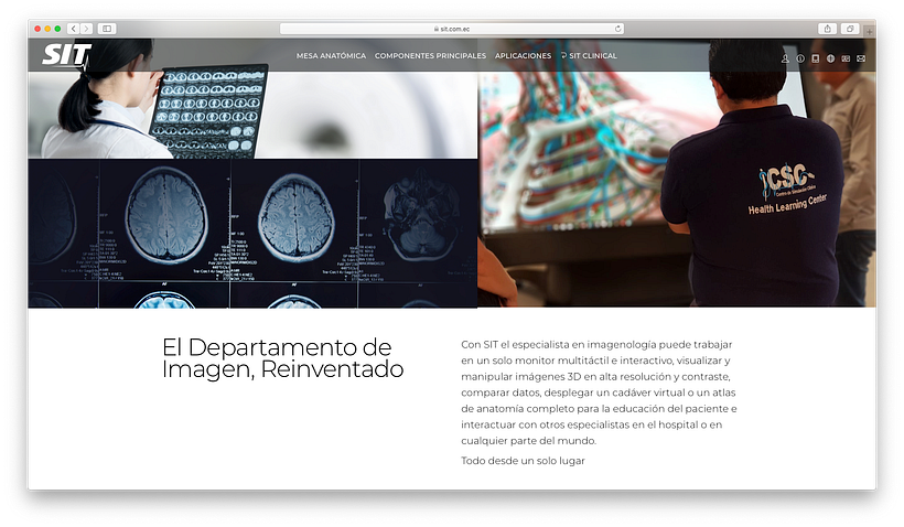 Mi Proyecto del curso: Creación de una web profesional con WordPress 4