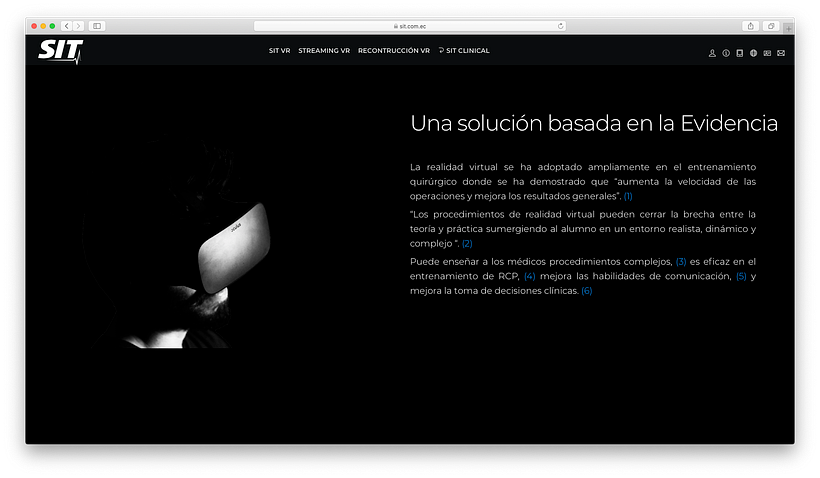 Mi Proyecto del curso: Creación de una web profesional con WordPress 8