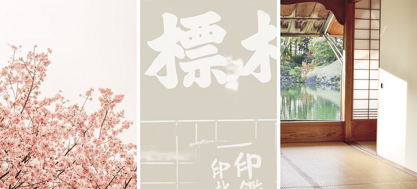 Apazible — Merkidentiteit 5