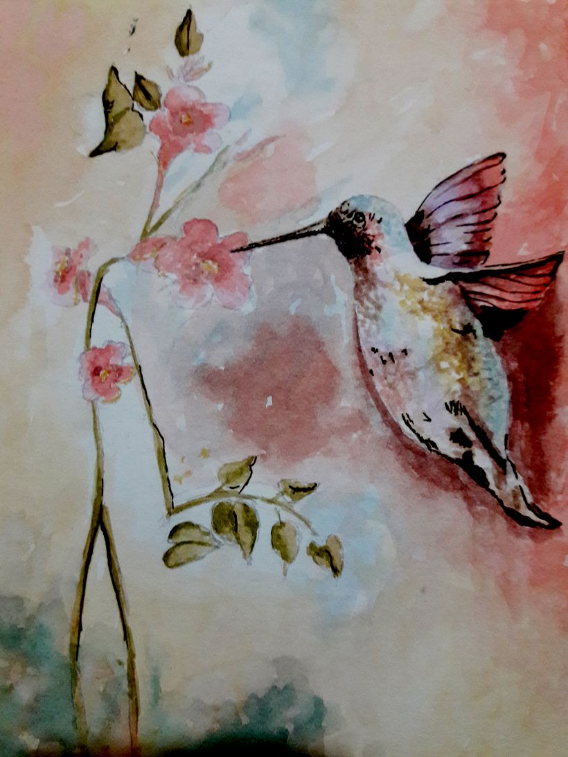 Colibrí Libando la Flor. Técnica: Acuarela