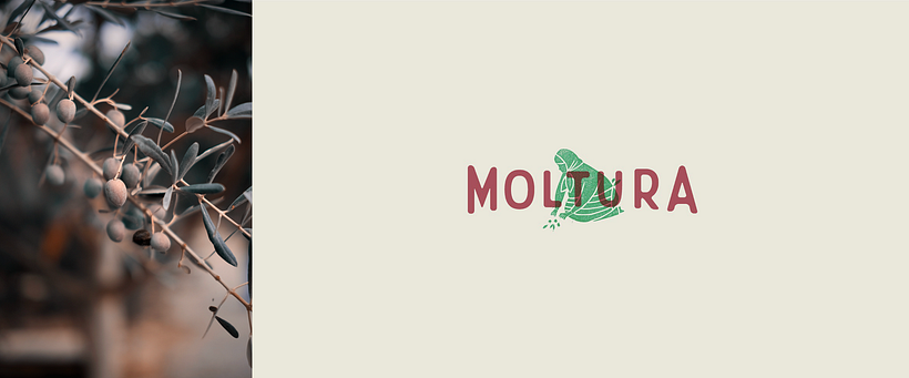 AOVE Moltura 6