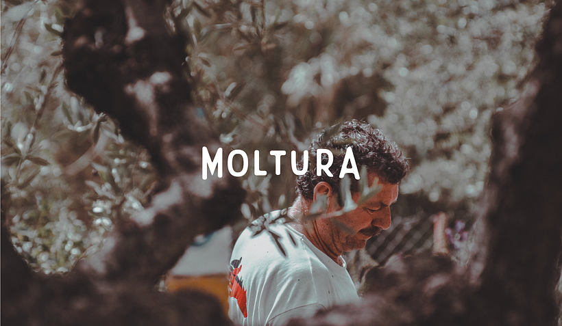 AOVE Moltura 8