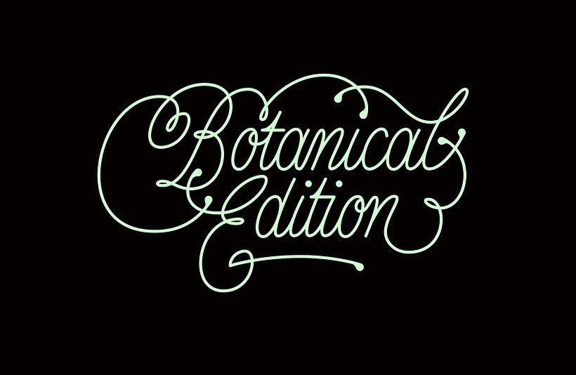 Botanical Edition. Lettering for the limited edition of floral necklaces of Veloz-es brand.
