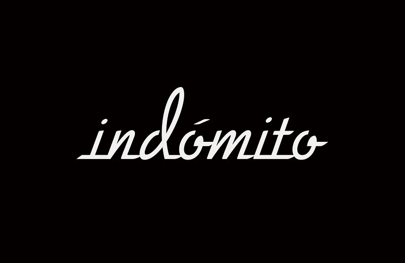 Indómito. Lettering for a road bike. Second proposal.