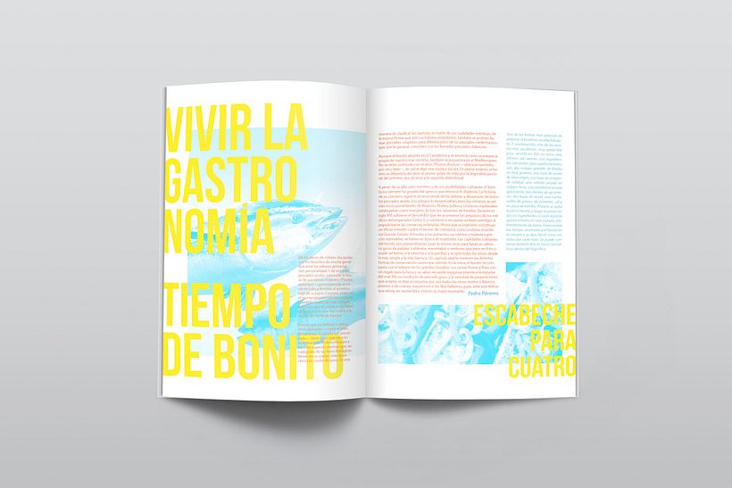Diseño editorial 2