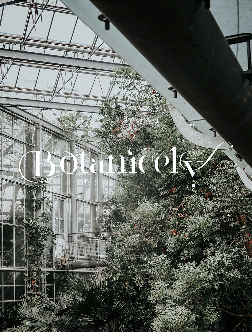Botanicely, jardín botánico (parte II) 1