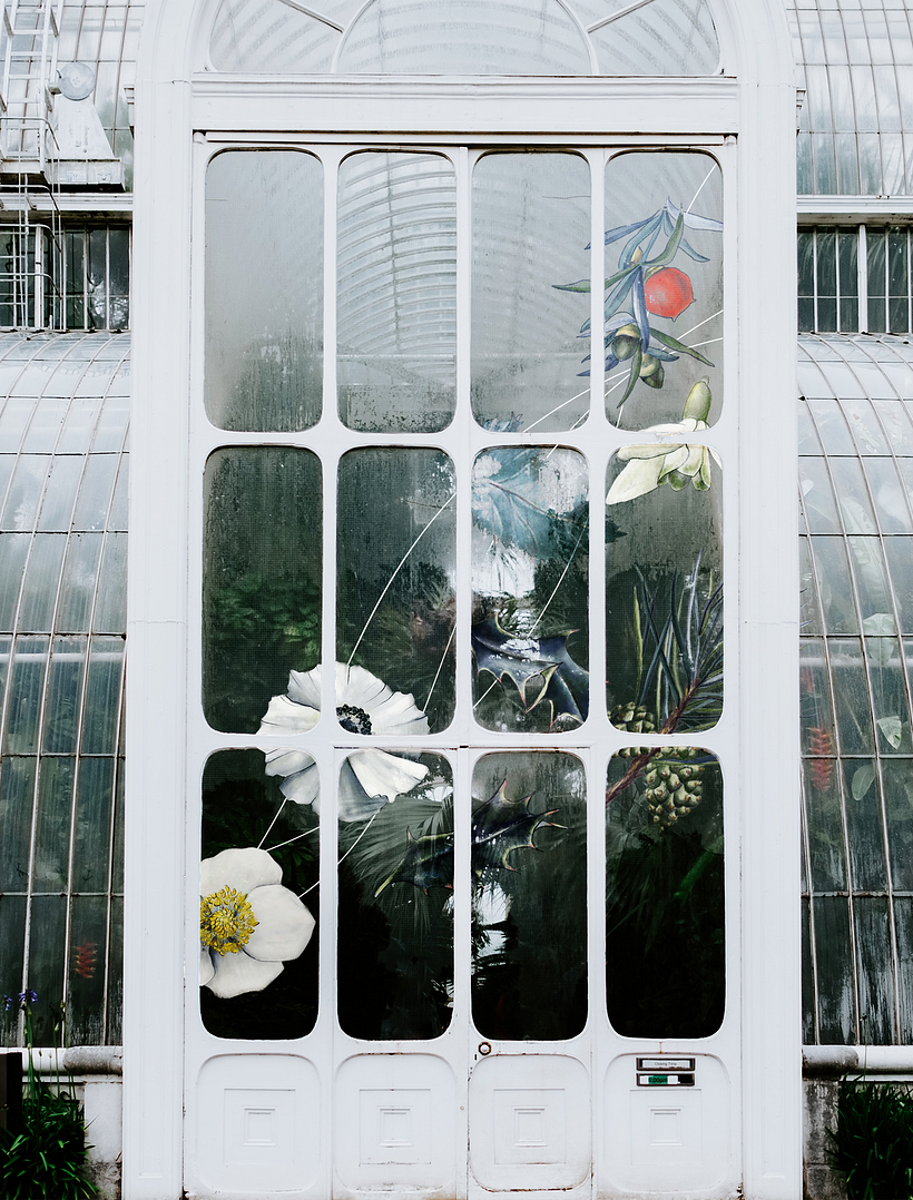 Botanicely, jardín botánico (parte II) 3