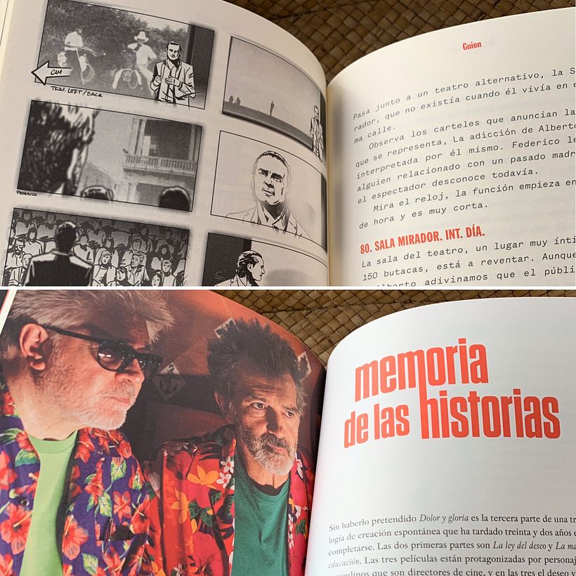 "Dolor y Gloria" Libro - Guión, Fotos y Storyboards 4