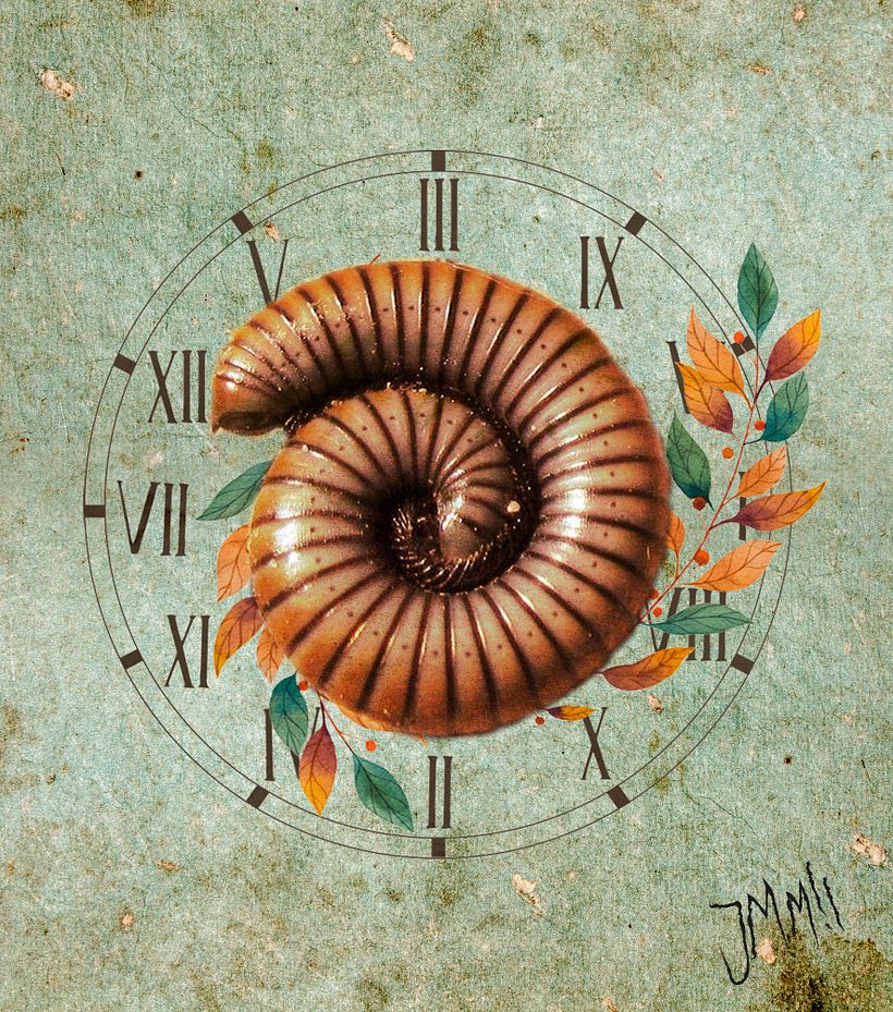 INSECTOS 3