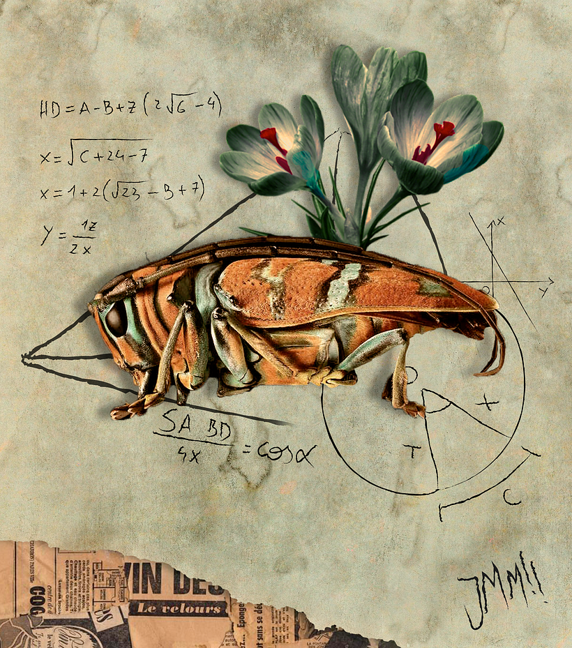 INSECTOS 2