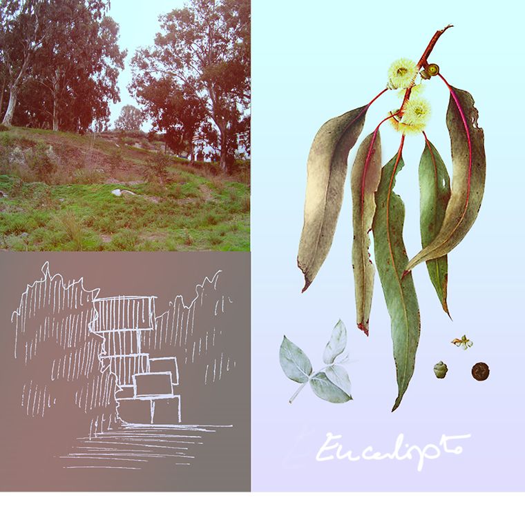 Vivienda. Un árbol más. 3