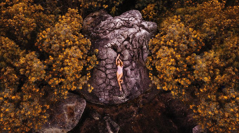 Portafolio domestika 0