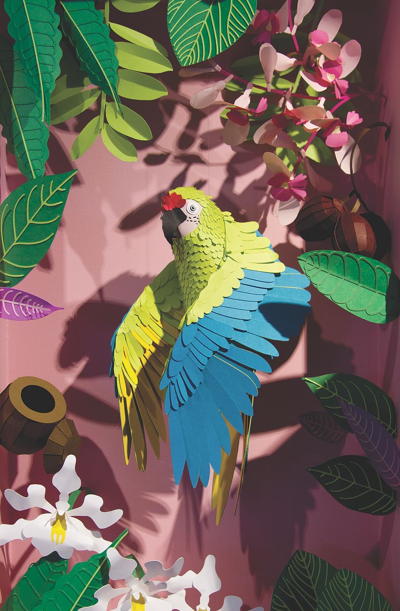 Siempre Silvestres: Animales de papel 0