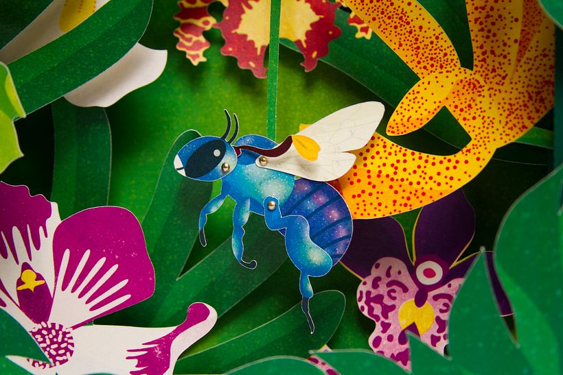 Dioramas Animales Asombrosos 0