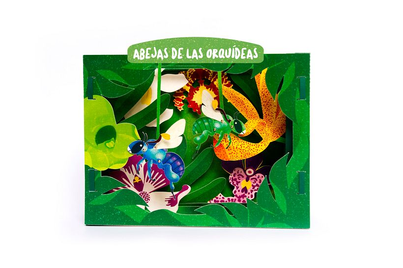 Dioramas Animales Asombrosos 2