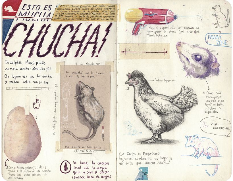 Bitácora ilustrada de un viajero MOCOA - Design