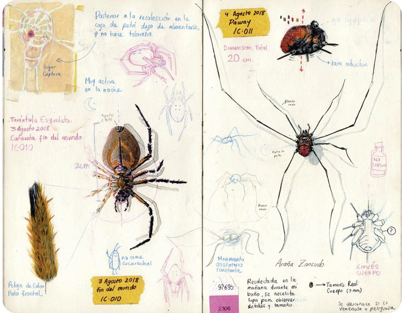 Bitácora ilustrada de un viajero MOCOA - Design