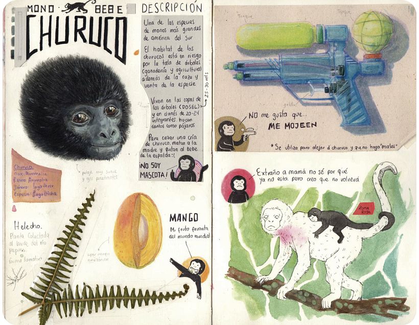 Bitácora ilustrada de un viajero MOCOA - Design