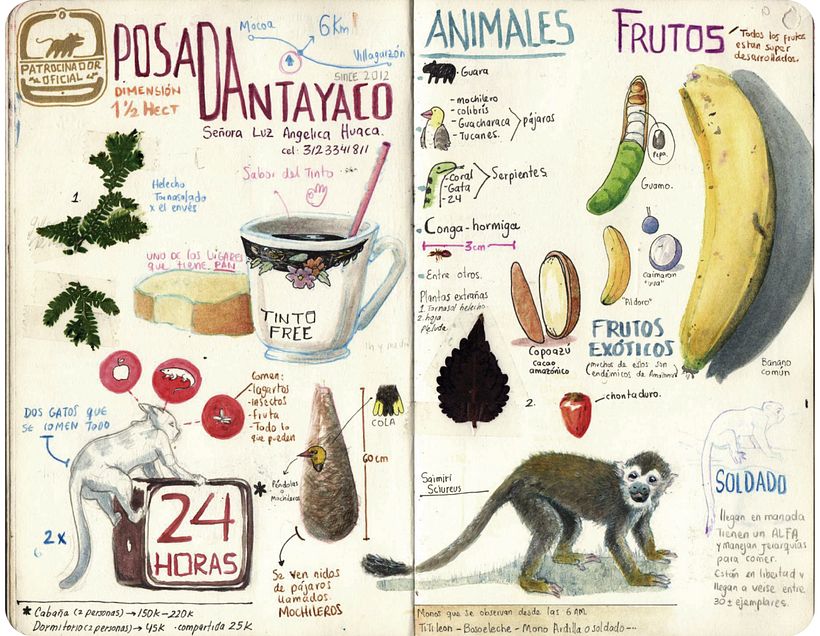 Bitácora ilustrada de un viajero MOCOA - Design