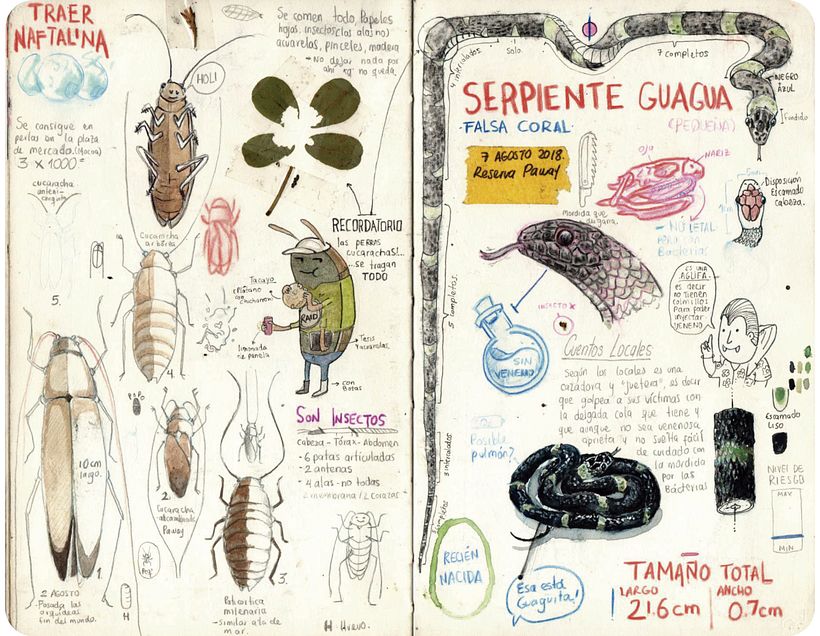 Bitácora ilustrada de un viajero MOCOA - Design