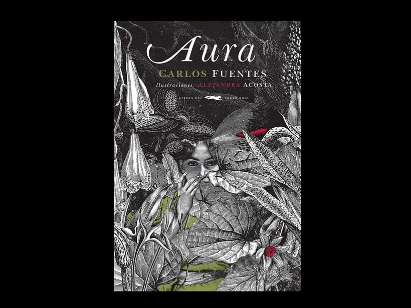 Aura - Ilustração tradicional