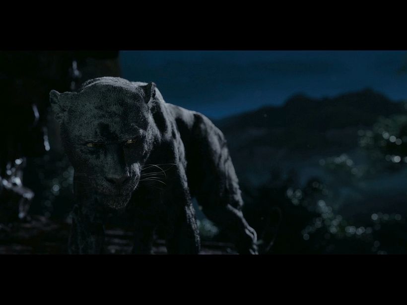 Mowgli reel 1
