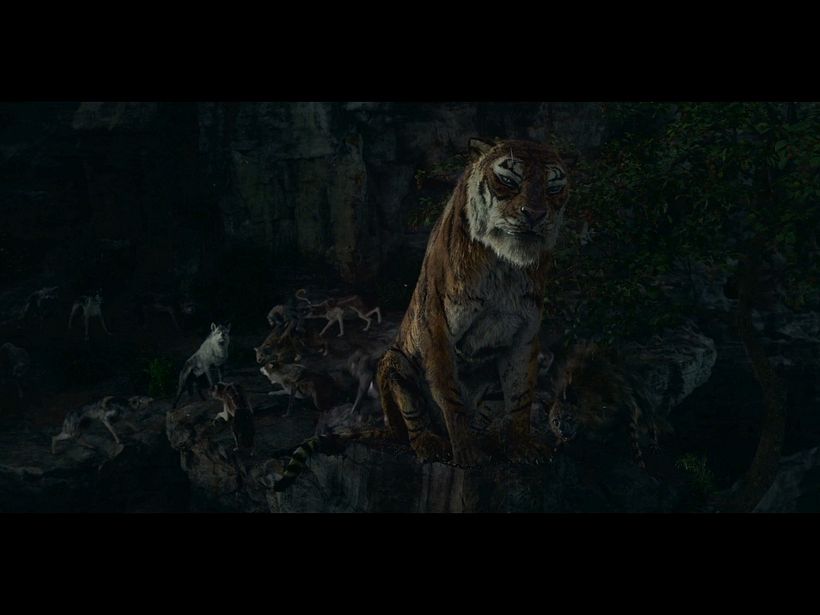 Mowgli reel 2