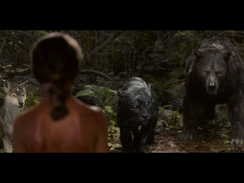 Mowgli reel 3