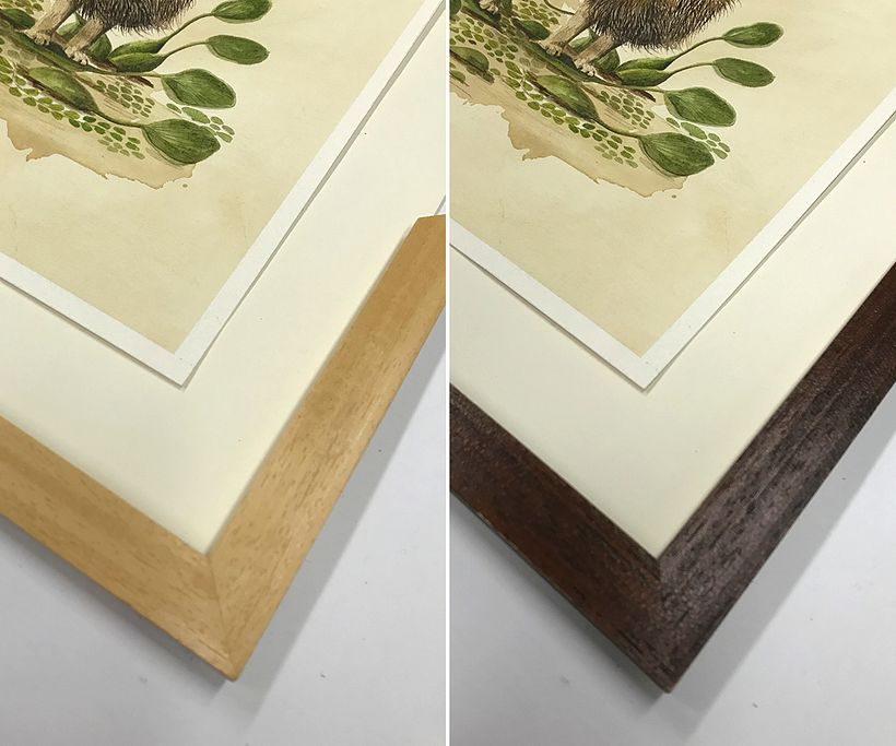 Wybór koloru do oprawy prac