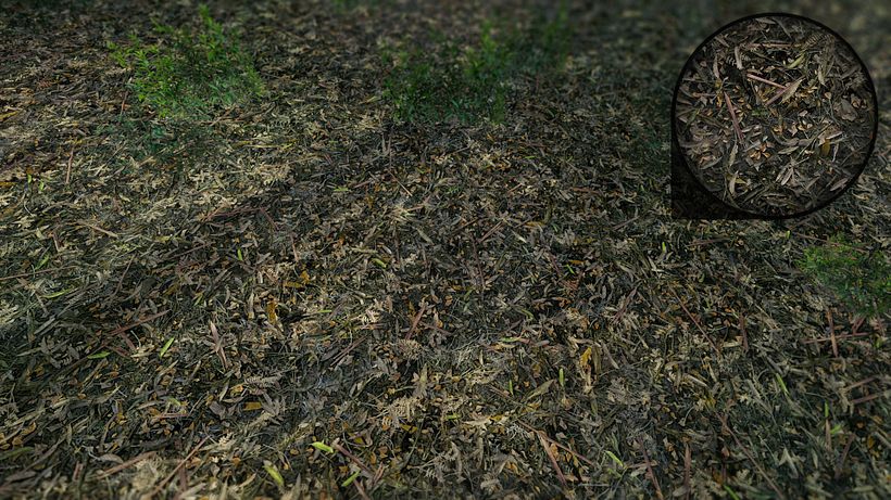 Forza Horizon 3 - Art Dump - Terrain Textures 2