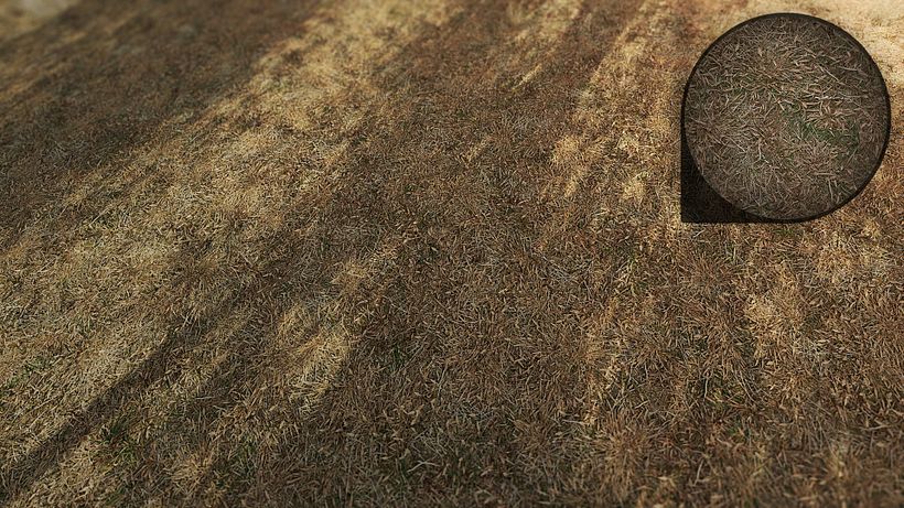Forza Horizon 3 - Art Dump - Terrain Textures 3