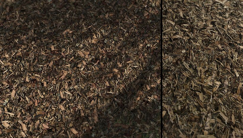 Forza Horizon 3 - Art Dump - Terrain Textures 7